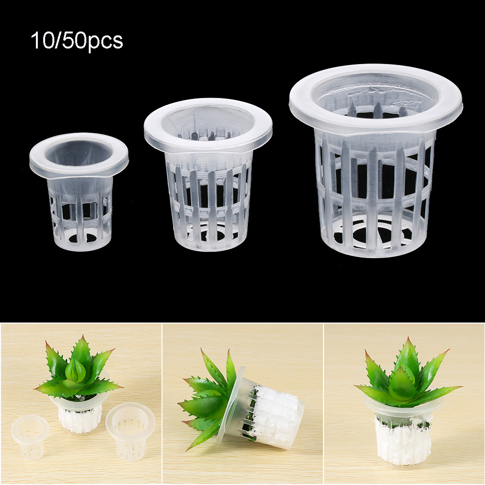 ถาดเพาะเมล็ดแบบไม่ใช้ดินสำหรับ - Aquarium Planted Seeds บทวิจารณ์และราคา